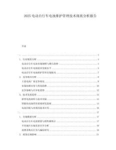 2025電動(dòng)自行車電池維護(hù)管理技術(shù)現(xiàn)狀分析報(bào)告