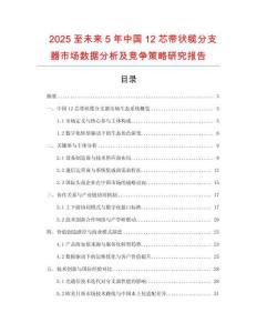 2025至未來5年中國12芯帶狀纜分支器市場數(shù)據(jù)分析及競爭策略研究報告
