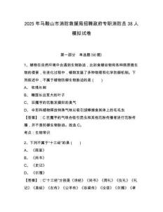 2025年马鞍山市消防救援局招聘政府专职消防员38人模拟试卷及完整答案详解一套