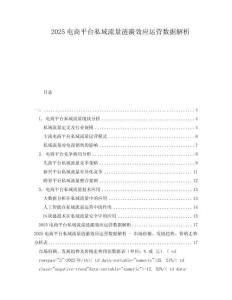 2025電商平臺私域流量漣漪效應(yīng)運(yùn)營數(shù)據(jù)解析