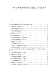 2025-2030潤滑油企業(yè)文化建設與品牌塑造案例