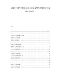 2025中國汽車維修保養(yǎng)業(yè)市場發(fā)展現(xiàn)狀研究評估規(guī)劃分析報告