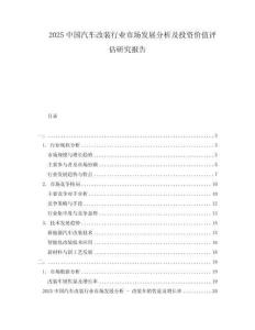 2025中國(guó)汽車改裝行業(yè)市場(chǎng)發(fā)展分析及投資價(jià)值評(píng)估研究報(bào)告