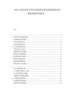 2025-2030軟件開發行業現狀分析及投資需求評估規劃發展研究報告
