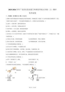 2025-2026學年廣東省東莞市虎門外國語學校九年級（上）期中化學試卷（含答案）