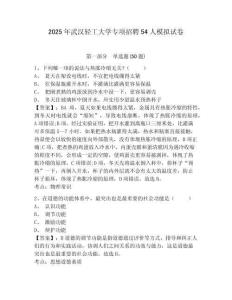 2025年武漢輕工大學(xué)專項(xiàng)招聘54人模擬試卷附答案詳解（名師推薦）