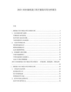 2025-2030腦機接口醫療康復應用分析報告
