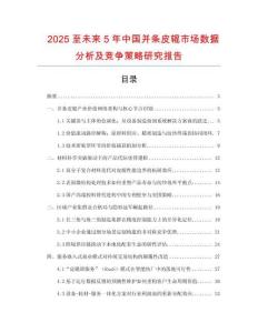 2025至未來5年中國并條皮輥市場數據分析及競爭策略研究報告