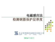 鋼筋保護(hù)層厚度檢測(cè) (18頁(yè))