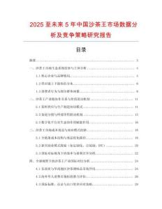 2025至未來5年中國沙茶王市場數據分析及競爭策略研究報告