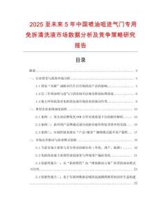 2025至未來5年中國噴油咀進氣門專用免拆清洗液市場數據分析及競爭策略研究報告