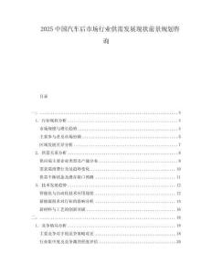 2025中國汽車后市場行業供需發展現狀前景規劃咨詢