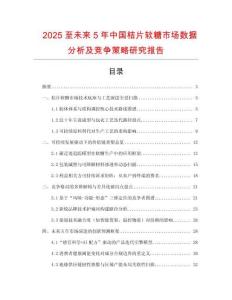 2025至未來5年中國桔片軟糖市場數(shù)據(jù)分析及競爭策略研究報(bào)告