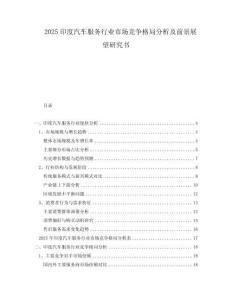2025印度汽車服務行業市場競爭格局分析及前景展望研究書