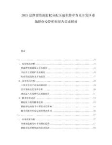 2025鹽湖鋰資源股權(quán)分配壓迫積弊審查及開(kāi)發(fā)區(qū)市場(chǎng)股份投資明細(xì)報(bào)告需求解析
