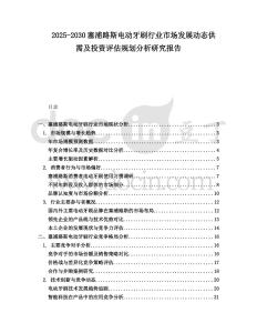 2025-2030塞浦路斯電動牙刷行業市場發展動態供需及投資評估規劃分析研究報告
