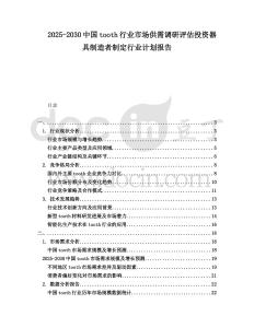 2025-2030中國tooth行業市場供需調研評估投資器具制造者制定行業計劃報告
