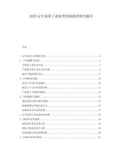 2025遼中南重工業(yè)轉(zhuǎn)型發(fā)展路徑研究報(bào)告