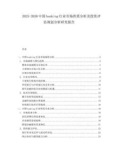 2025-2030中國banking行業(yè)市場供需分析及投資評估規(guī)劃分析研究報告
