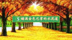 5 鋪滿金色巴掌的水泥道 課件