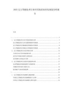 2025無(wú)人駕駛技術(shù)行業(yè)應(yīng)用場(chǎng)景商業(yè)化規(guī)劃分析報(bào)告