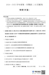 安徽省阜陽市阜南縣王店孜鄉(xiāng)親情學(xué)校2024-2025學(xué)年高二上學(xué)期12月聯(lián)考物理試卷
