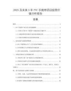 2025及未來5年PVC手挽帶項目投資價值分析報告