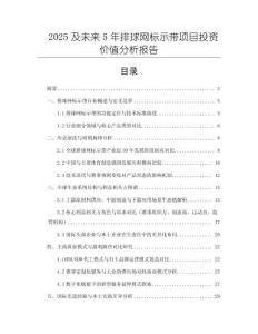2025及未來5年排球網(wǎng)標示帶項目投資價值分析報告