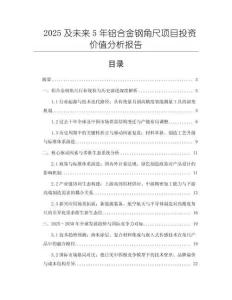 2025及未來5年鋁合金鋼角尺項目投資價值分析報告