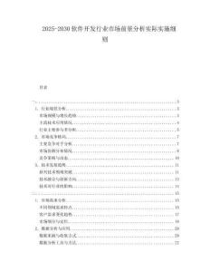 2025-2030軟件開發行業市場前景分析實際實施細則