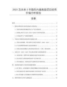 2025及未來5年隱形內(nèi)增高墊項目投資價值分析報告