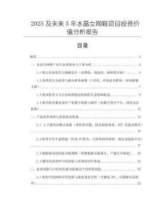 2025及未來5年水晶女網鞋項目投資價值分析報告