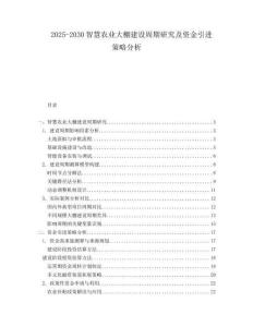 2025-2030智慧農(nóng)業(yè)大棚建設(shè)周期研究及資金引進策略分析