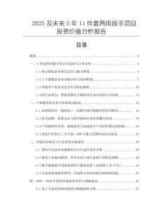 2025及未來(lái)5年11件套兩用扳手項(xiàng)目投資價(jià)值分析報(bào)告