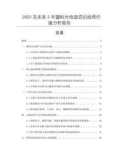 2025及未來5年塑料光電墊項目投資價值分析報告