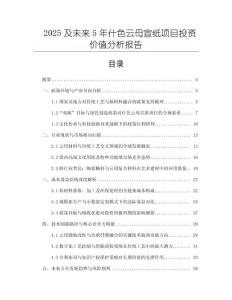 2025及未來5年什色云母宣紙項目投資價值分析報告