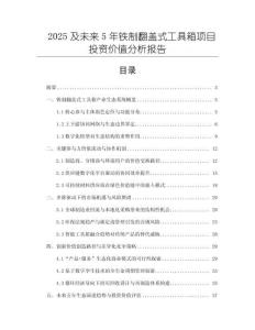2025及未來5年鐵制翻蓋式工具箱項目投資價值分析報告