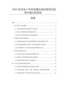 2025及未来5年来电感应验钞笔项目投资价值分析报告