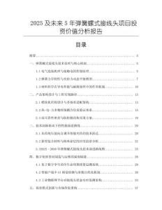 2025及未来5年弹簧螺式接线头项目投资价值分析报告