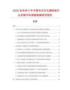 2025及未来5年中国法式五孔插线板行业发展市场调查数据研究报告