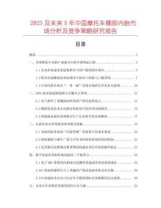 2025及未來5年中國摩托車橡膠內胎市場分析及競爭策略研究報告