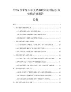 2025及未來5年天然橡膠內胎項目投資價值分析報告