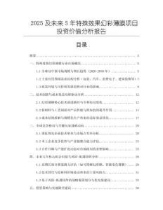 2025及未來5年特殊效果幻彩薄膜項目投資價值分析報告