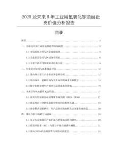 2025及未來5年工業用氫氧化鉀項目投資價值分析報告
