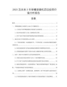 2025及未来5年单槽滚镀机项目投资价值分析报告