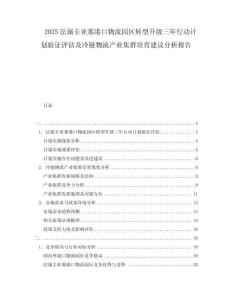 2025法屬圭亞那港口物流園區轉型升級三年行動計劃驗證評估及冷鏈物流產業集群培育建議分析報告