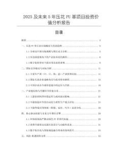 2025及未來5年壓花PU革項目投資價值分析報告