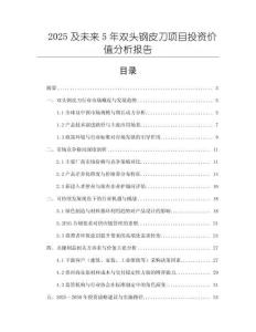 2025及未來5年雙頭鋼皮刀項目投資價值分析報告