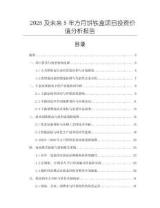 2025及未來5年方月餅鐵盒項目投資價值分析報告