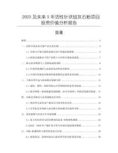 2025及未来5年活性针状硅灰石粉项目投资价值分析报告